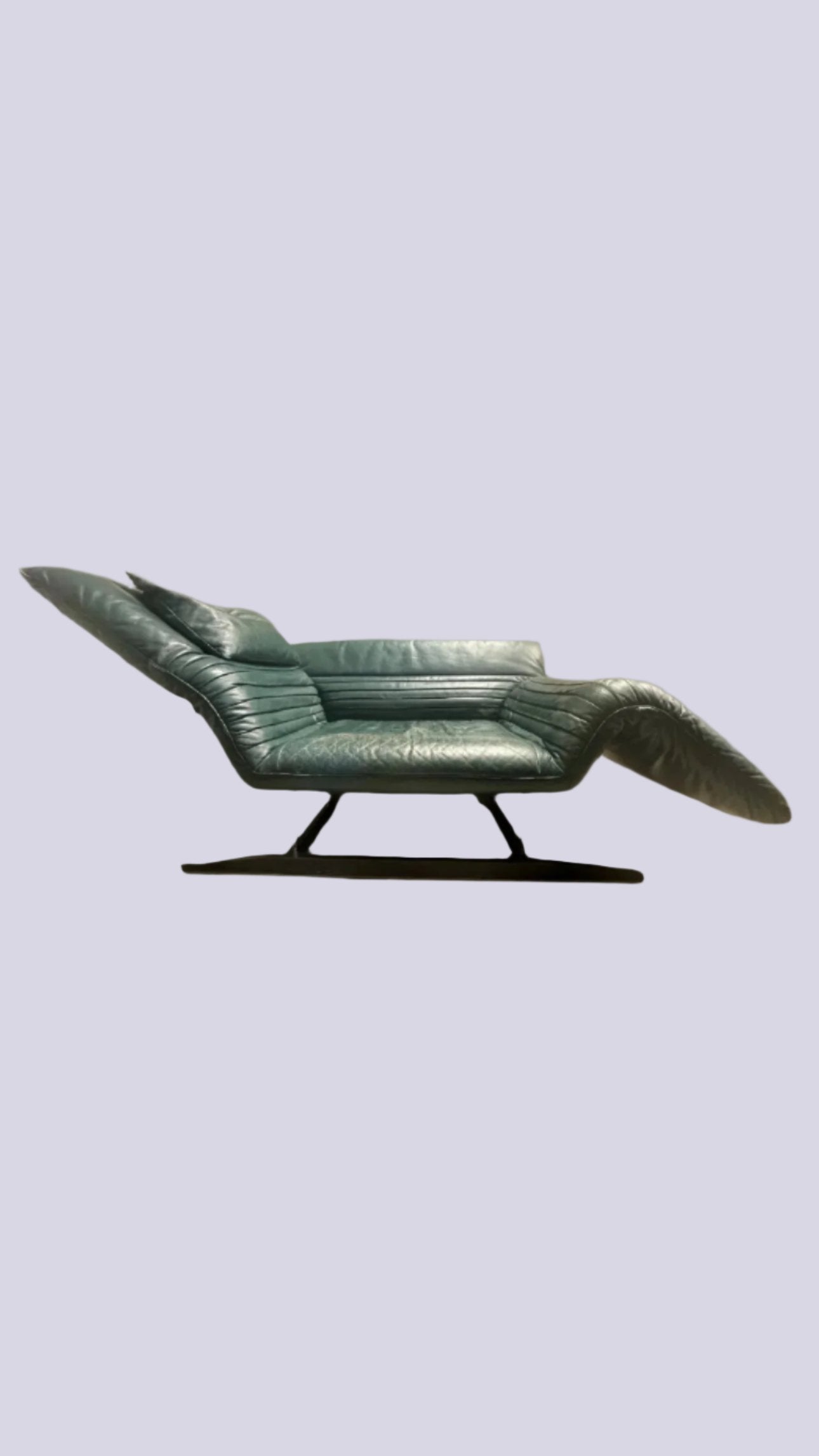 Vintage De Sede Ds-142